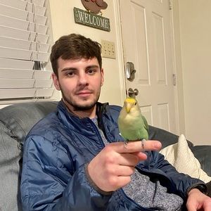 Meet your Posher, Nolan